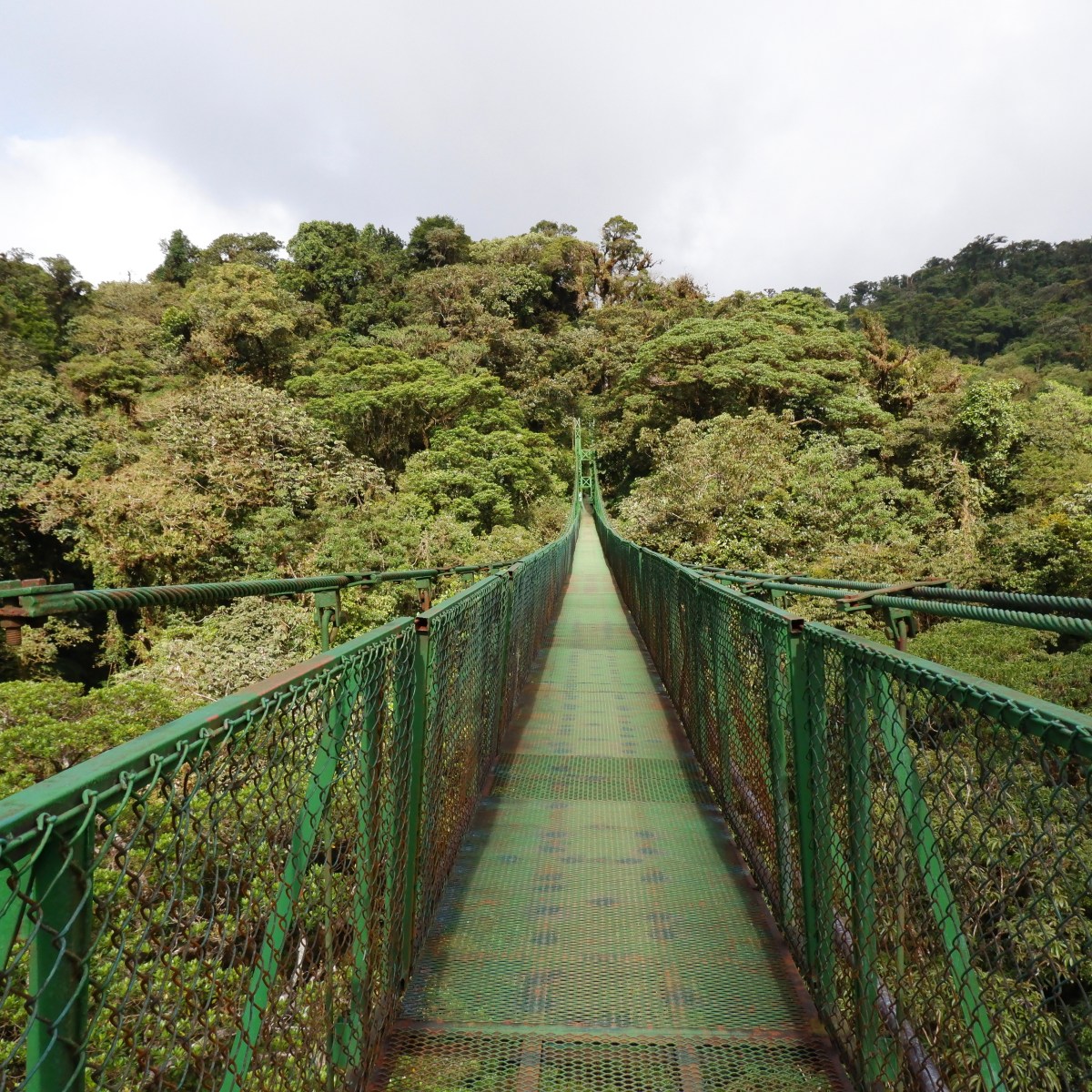Monteverde Hanging Bridges