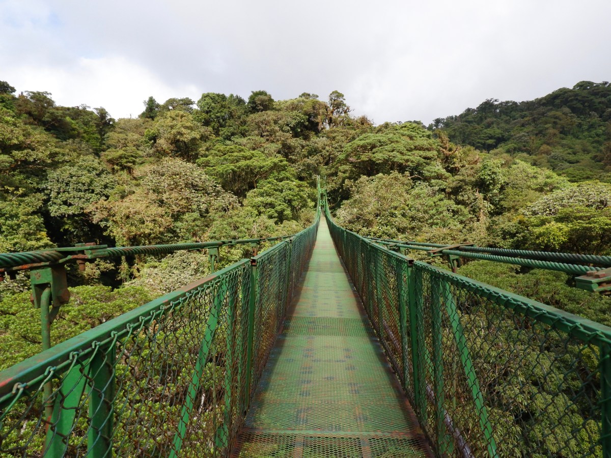 Monteverde Hanging Bridges